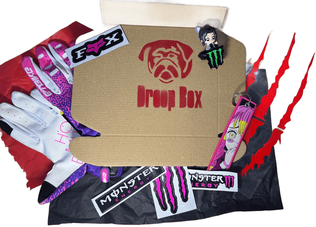 Aspect Shinobu Kochō